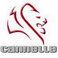 1. Name der Firma: Rapala VMC France...