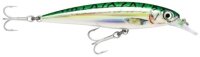 Rapala X-Rap Saltwater SXR12 GM