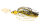Fox Rage Bladed Jig 21g Pike