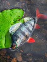 Fox Rage Ultra Natural Replicant Perch 10cm 19g