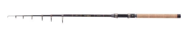 Balzer Diabolo Golden Circle Tele Mini Spin 2,45m 10-50g