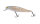 Balzer Blow 2go Albino, 11cm, 16g, Floating