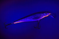 Balzer MK Adventure Hechtschrecke Clear Roach, 11cm,...