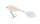 Balzer MK Adventure Matzes Rache Albino
