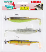 Balzer Shad 2go Set Zander, 10cm, 7,5g, Green Pumpkin,...