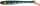 Balzer Pike Collector Shad, Barsch, 16cm