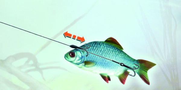 Balzer MK Adventure Doppel-Drilling System #6