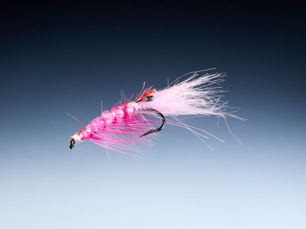 Balzer Pink Shrimp