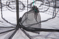 Balzer Krebs- und Krabbenfalle