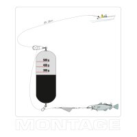 Dega Heilbutt-Pose m.Release-Syst.500g