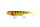 Fox Rage Pro Shad Perch loaded 18cm 46g