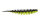 Spro TM Master Worm 65mm Garlic Black Lime