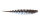 Spro TM Master Worm 65mm Garlic Snow Peak