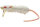 Spro BBZ1 Rat 50 white 13cm 64g F