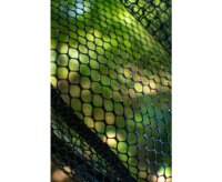 Zebco Latex Fast Net 18inch