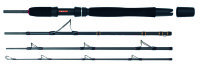 WFT Go North II 4pcs. 20lbs 2,10m 100-400g