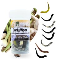 Zite Fishing Curly Viper Natur Mix Knoblauch 6,5 cm 8...