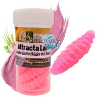 Zite Fishing Attracta Larv Pink Floating Edition...
