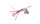 SPRO Larva Mayfly Micro Spinner 5cm 4g Rainbow Trout