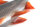Fox Rage Ultra Natural Roach 18cm