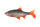 Fox Rage Ultra Natural Roach 14cm