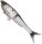 Berkley Nessie 12cm Roach