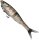 Berkley Nessie 22cm Perch