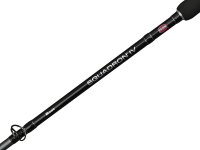 PENN Squadron IV Boat 2,10m 20-30lbs