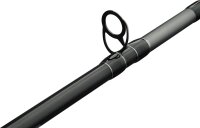 PENN Squadron IV Boat 2,10m 20-30lbs
