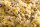 Mivardi Partikelmix (gecrushed) 5kg