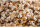 Mivardi Tigernüsse (gecrushed) 1kg