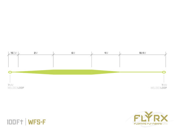 Delphin FLYRX Fliegenschnur WF3-F / 100 FT