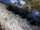 Delphin RiverSTIX Futterkorb mit Bleigewicht 150g