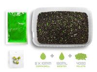 DELPHIN Pellet box Delphin Reaxe READY&GO...