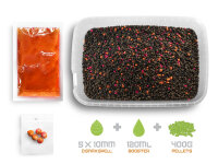 DELPHIN Pellet box Delphin Reaxe READY&GO Mango-Pfirsich/400g+120ml booster+10mm waft