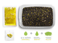 DELPHIN Pellet box Delphin Reaxe READY&GO Mais-Ananas/400g+120ml booster+10 waft