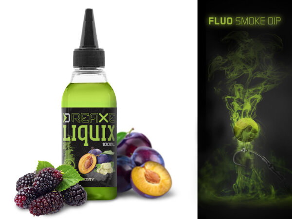 DELPHIN Fluo dip D SNAX LiquiX / 100ml Pflaume – Maulbeere