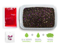 DELPHIN Pellet box Delphin Reaxe READY&GO Pflaume–Maulbeere/400g+120ml booster+10mm waft