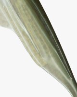 Banks Maverick 7,5 cm Mossback Silver