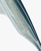 Banks Maverick 8,5 cm Blue Smoke