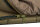 Fox Ven Tec Ripstop XL 5 Season Sleeping Bag
