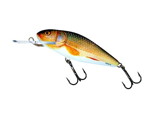 Salmo Perch 8cm Deep Runner Real Roach