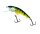 Salmo Perch 12cm Floating Perch