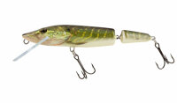 Salmo Pike 11cm Jointed Floater Real Pike