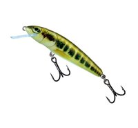 Salmo Minnow 7cm 6g Minnow