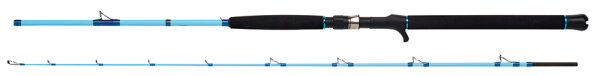 WFT Sea Dart 12lbs 30-160g 2,10m