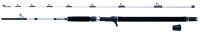 WFT Coastal King 7 25lbs 2,10m 40-240g