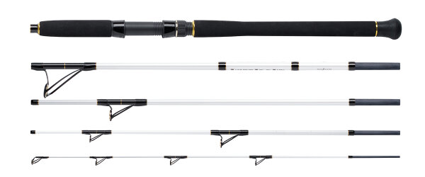 WFT Salzmeister Coastal Jigger 2,75m 40-160g 5pc.