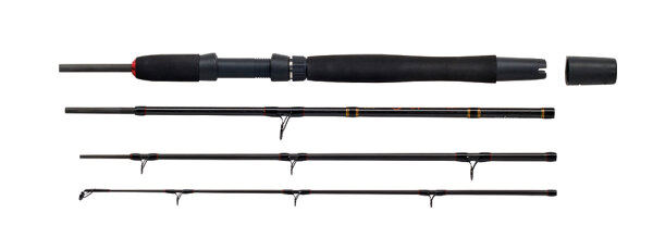 WFT Go North 4tlg. 30lbs 2,10m 200-600g