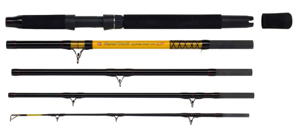 WFT Never Crack Big Cat 5tlg. 200-1000g 2,60m